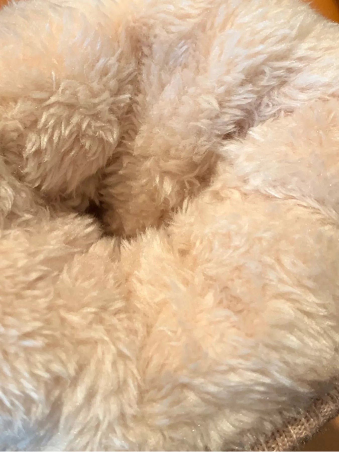 1f1eb901-5ddc-4110-86a1-4005881c69cb-Max-Origin